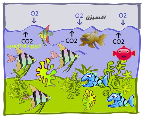 تبادل دی اکسید کربن در آب با اکسیژن در هوا